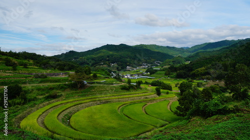 稲渕の棚田