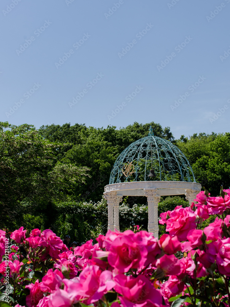 Keisei Rose Garden In Chiba City Japan.