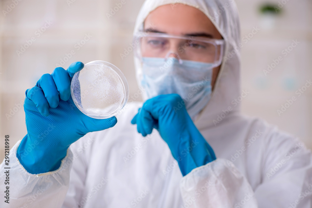 Young male chemist working in the lab