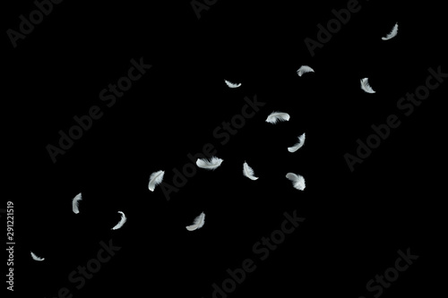 abstract, soft white feather floating in the air, black background