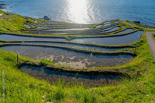 Wallpaper Mural 世界農業遺産 能登 白米千枚田 Torontodigital.ca