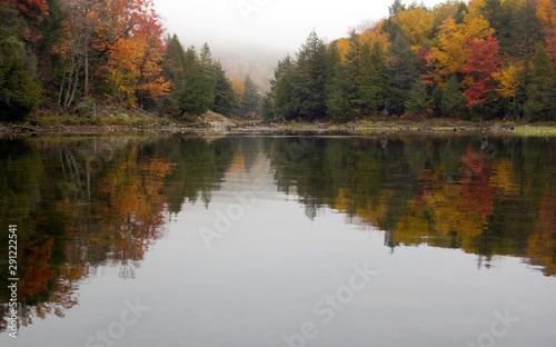 Reflection of colorful forest in lake surface in the overcast day