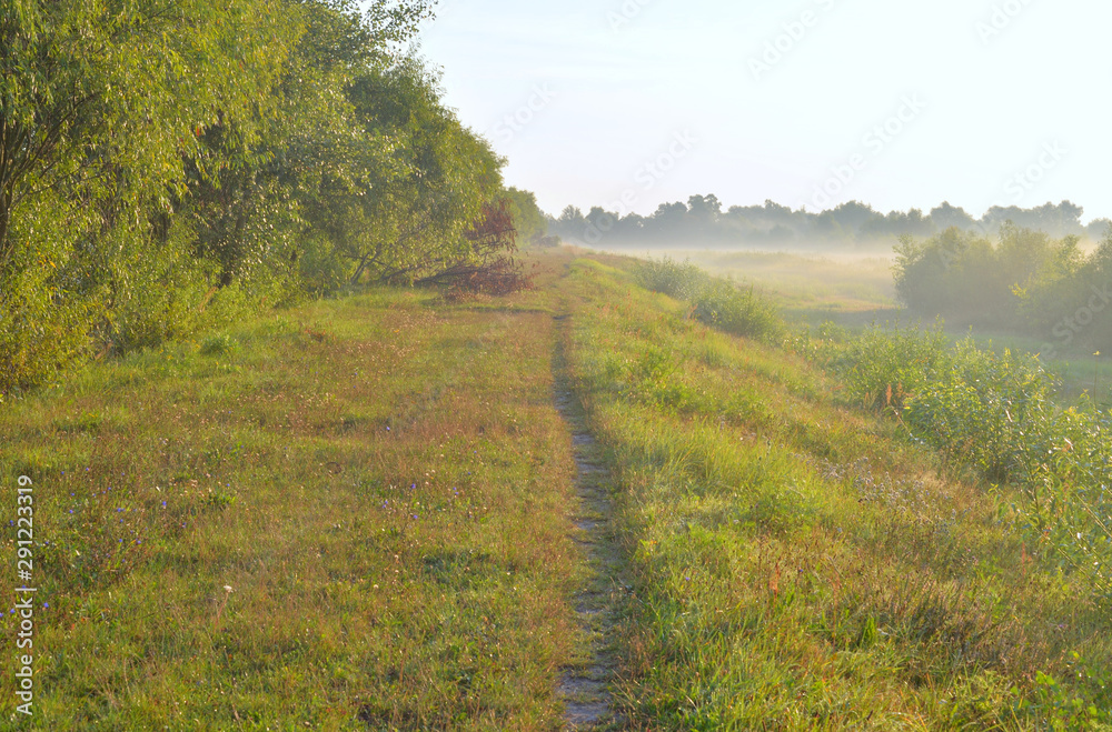 Pathway in the countryside.