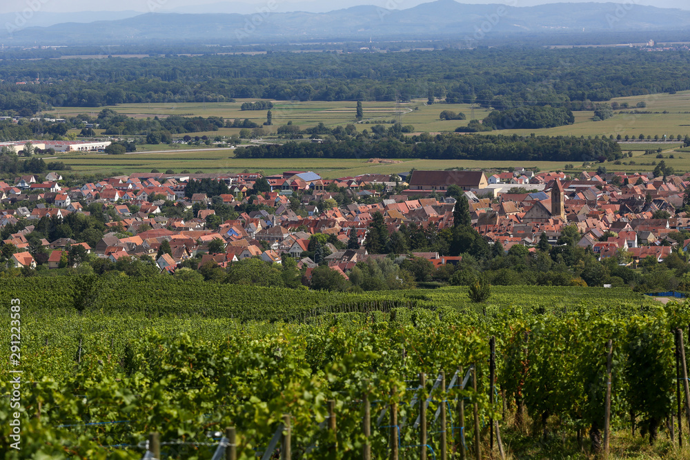 Naklejka premium the old town of Eguisheim