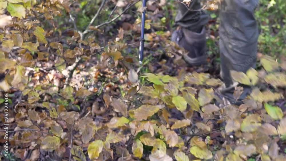 View Looking Down At Hikers Trekking Through Woodland With Trekking Poles. Slow Motion View Looking Down At Hikers Trekking Through Woodland With Trekking Poles. Slow Motion