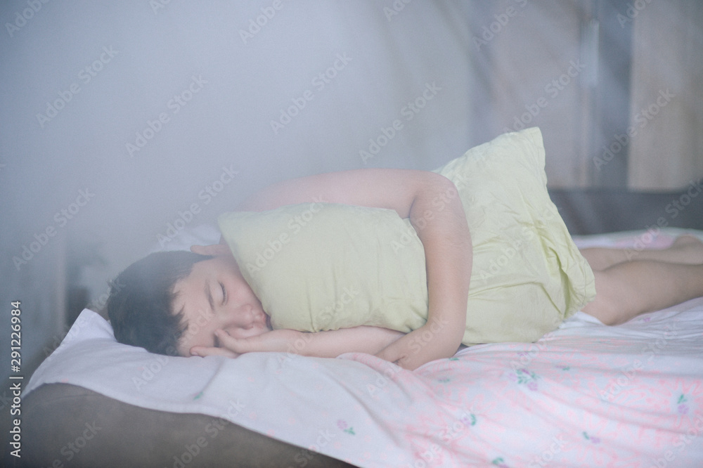 sleeping little caucasian relaxing fat kid lying with green pillow during deep sleep in morning on large bed in bedroom sleeping little caucasian relaxing fat kid lying with green pillow during deep sleep in morning on large bed in bedroom