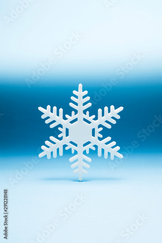 White snowflake icon