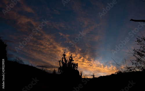 Sunset with cactus and mountain. Tatacoa desert, Huila, Colombia