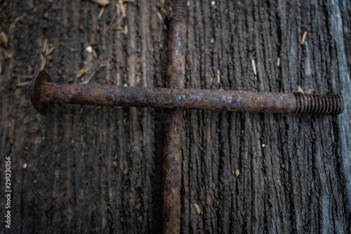 The very old rusty screws on the wood floor