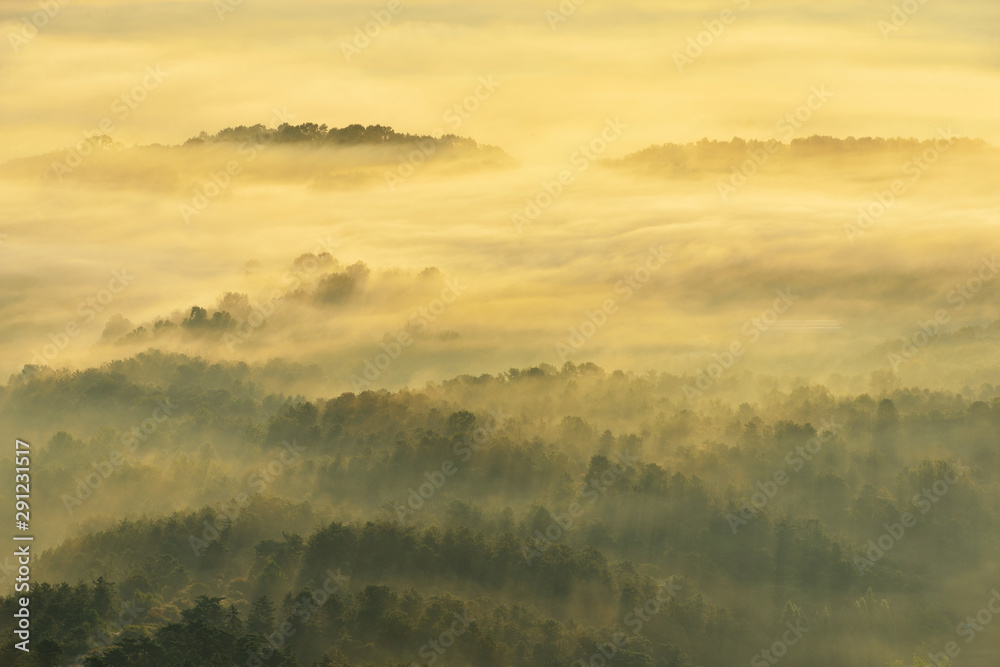 Fototapeta premium 빛내림