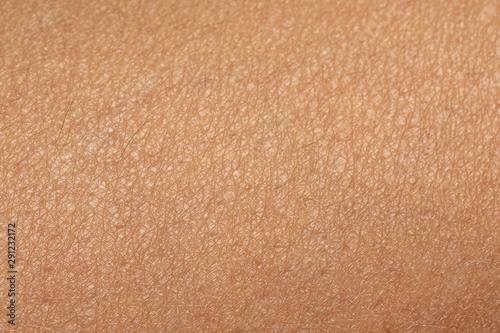 human skin, caucasian women skin in macro close up, texture background