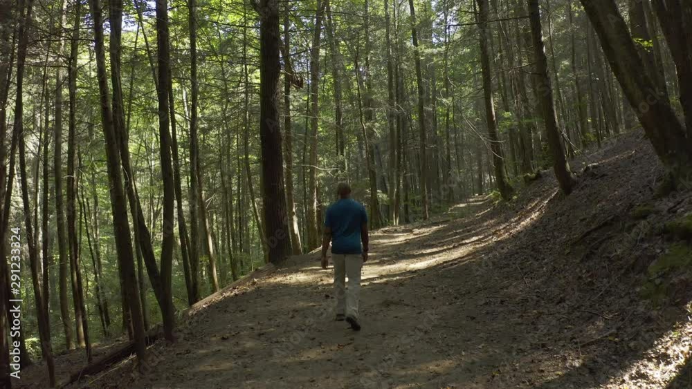 A lone African American male walking along a forrest trail. A lone African American male walking along a forrest trail.