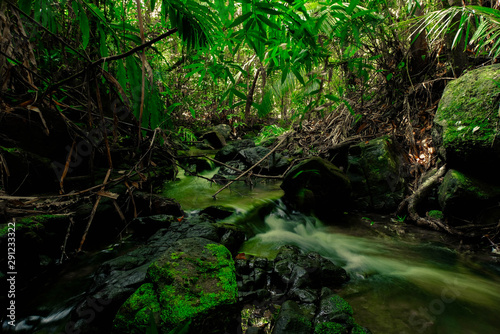 Small streams flow through abundant tropical forests in forest of Thailand,Phang Nga,Koh Yao Yai