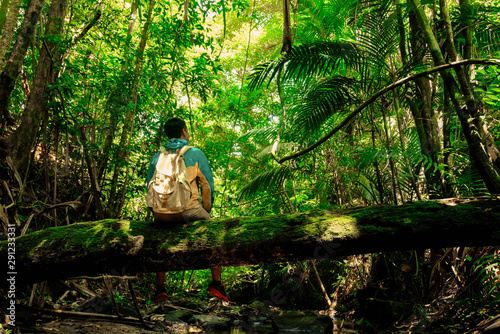 Man sitting on old trunk tree there is cover moss in rainforest with backpack in tropical forest concept summer vacations outside alone into the wild of Thailand,Phang Nga,Koh Yao Yai