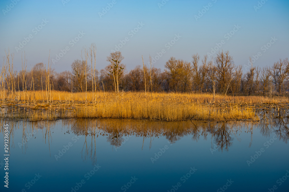 Deciduous forest and river in the countryside.