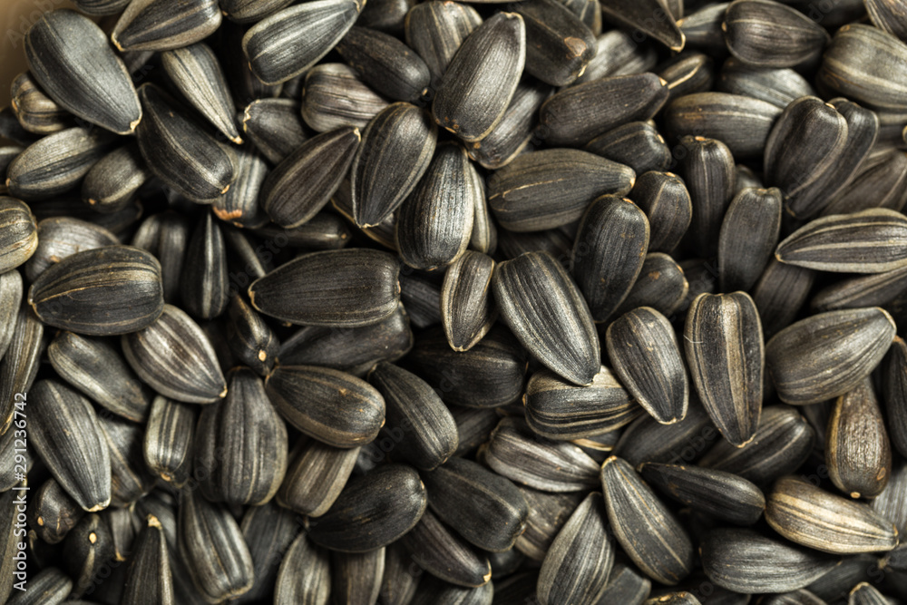 organic sunflower seed for background uses organic sunflower seed for background uses