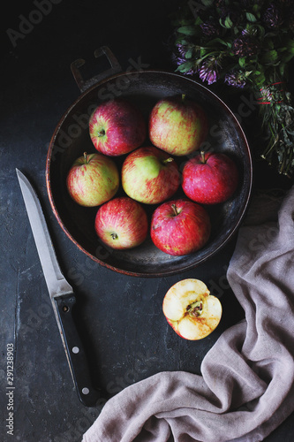 Dark and moody photo of red apples in a a frying pan with clover, napkin and a knife lying around on a grey background taken using natural light