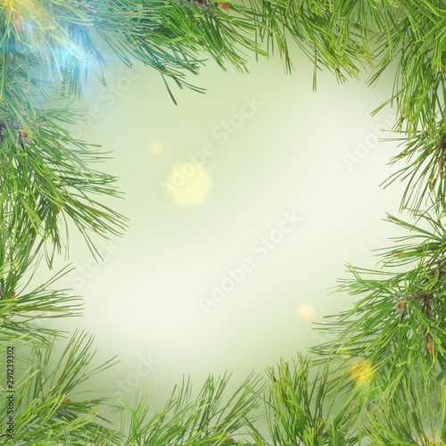 Pine twig on abstract green background with snowflakes