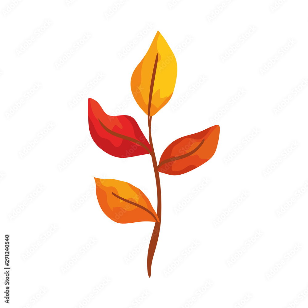 season autumn branch with leafs season autumn branch with leafs