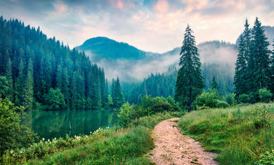 Glasbilder Natur Nebelhafte Morgenszene von Lacu Rosu See. Nebliger Sommersonnenaufgang in Harghita County, Rumänien, Europa. Schönheit des Naturkonzepthintergrundes.  © Andrew Mayovskyy