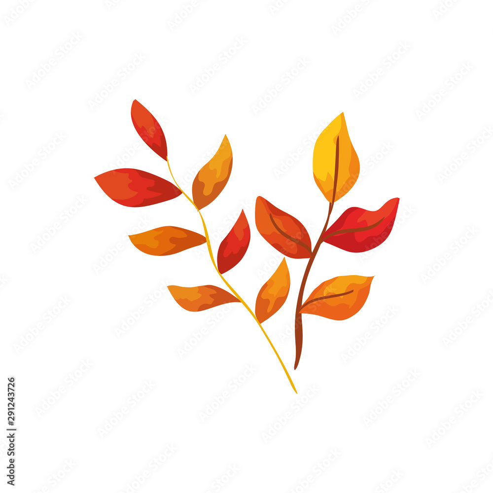 season autumn branches with leafs season autumn branches with leafs