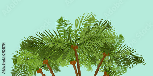 Jungle exotic composition. Vector banner wirh palm trees