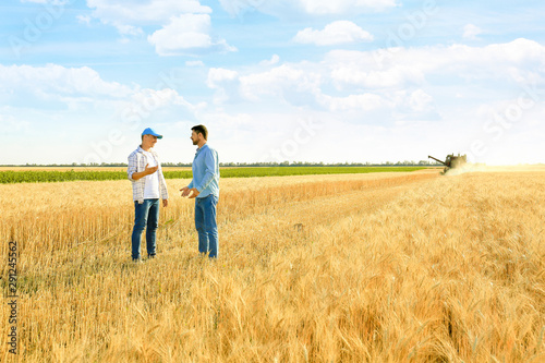 Male farmers working in wheat field