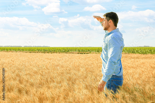 Male farmer working in wheat field