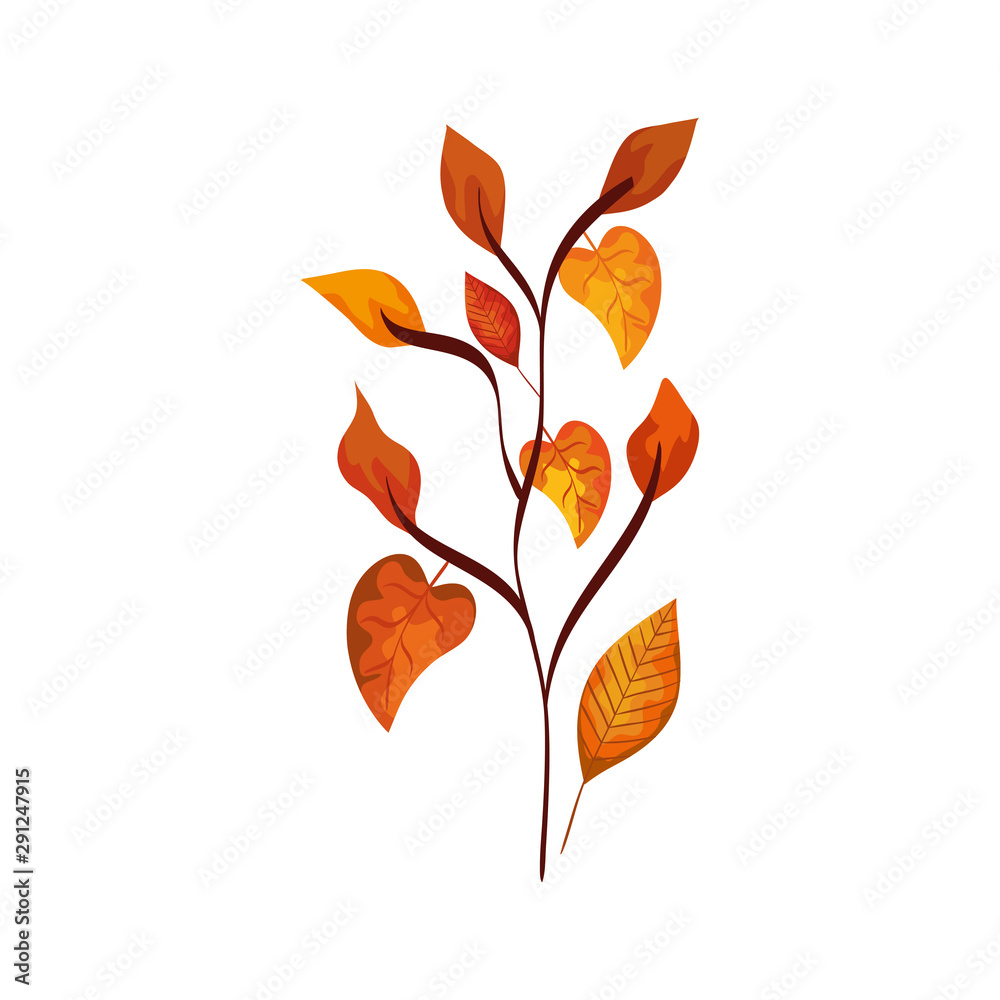 season autumn branch with leafs season autumn branch with leafs