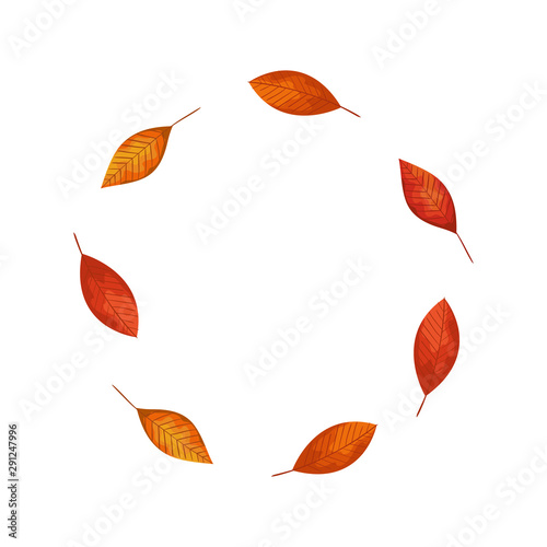 frame circular of autumn leafs © Gstudio