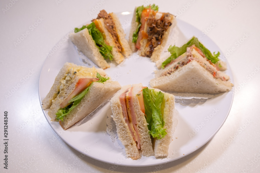 different variety of sandhich slices on a white plate on a white background different variety of sandhich slices on a white plate on a white background