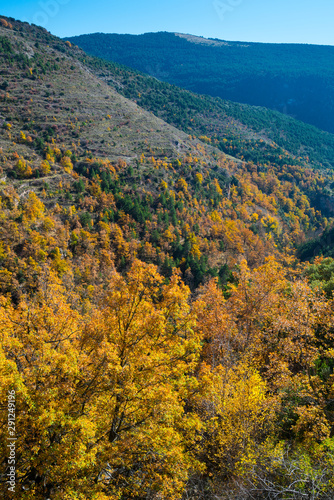 Bescaran Valley, Alt Urgell, Lleida, Catalunya, Spain photo