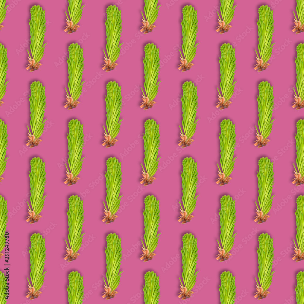 Young spruce branch isolated on pink. Fir tree branch seamless pattern on pink. Young spruce branch isolated on pink. Fir tree branch seamless pattern on pink.