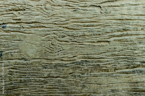 Cocrete wood stamp texture background