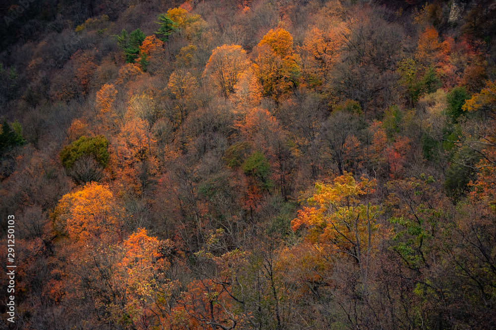 Beautiful fall autumn landscape near Toronto Canada Beautiful fall autumn landscape near Toronto Canada