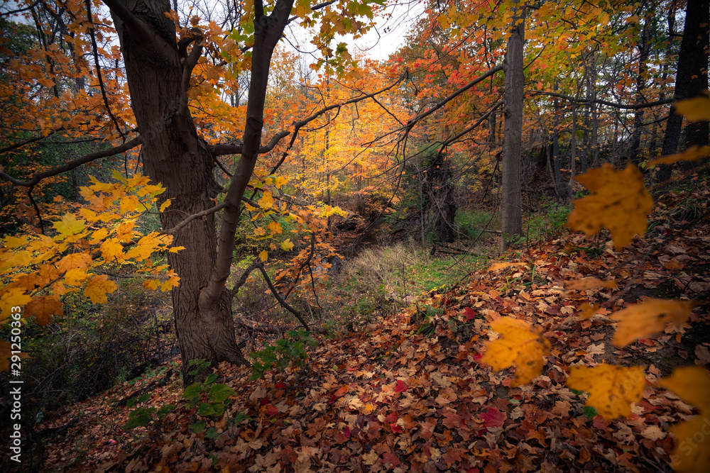 Beautiful fall autumn landscape  near Toronto Canada