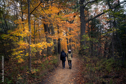 Beautiful fall autumn landscape  near Toronto Canada