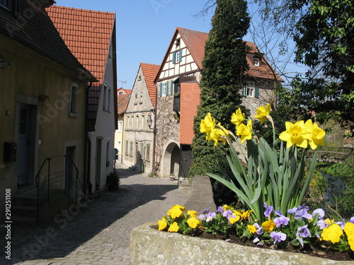 Narzissen vor Stadttor in Dettelbach photo