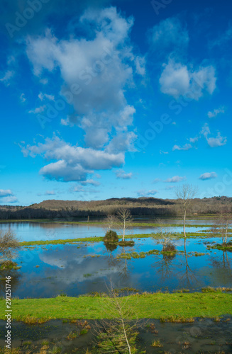 Réserve des Barthes de Saint Martin de Seignanx,Landes, France, Europe photo