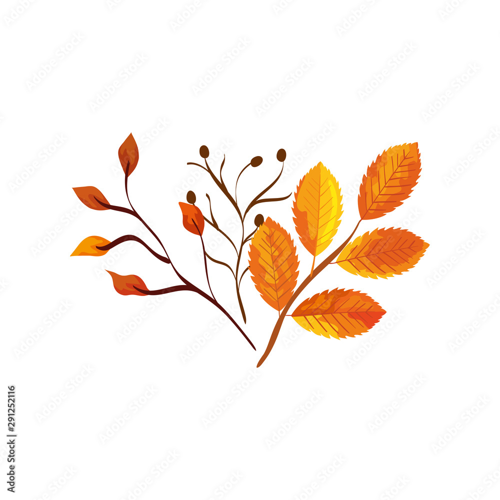 season autumn branches with leafs season autumn branches with leafs