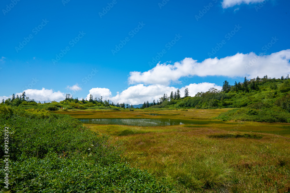 高谷池ヒュッテから火打山への登山道で池沼を望む風景