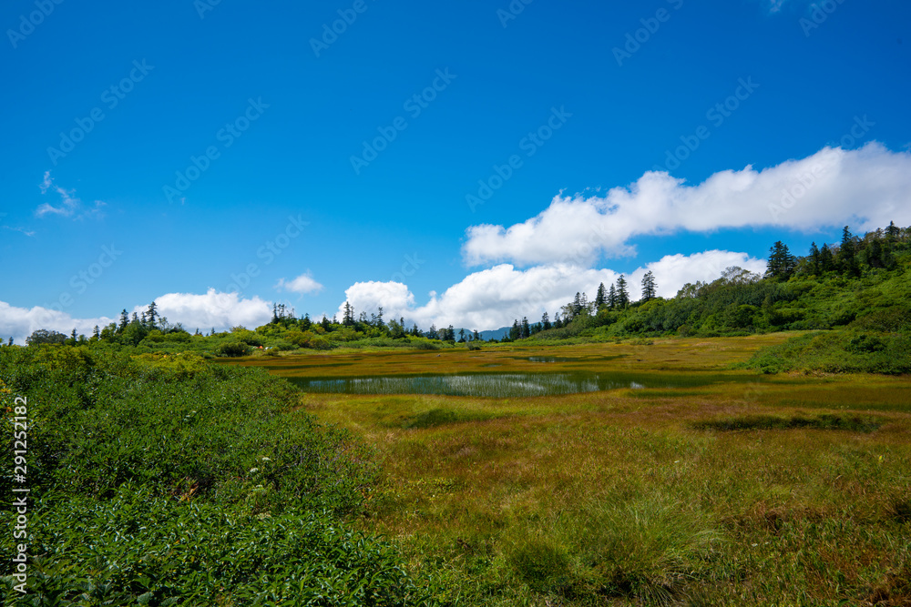 高谷池ヒュッテから火打山への登山道で池沼を望む風景