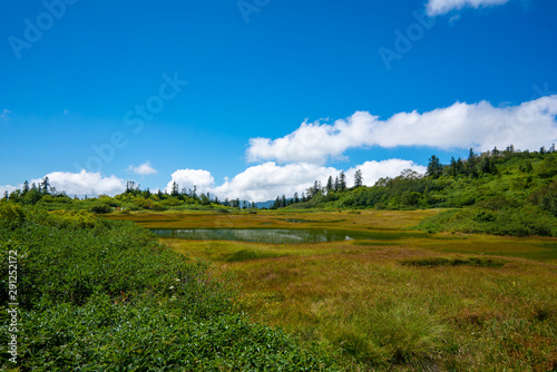 高谷池ヒュッテから火打山への登山道で池沼を望む風景