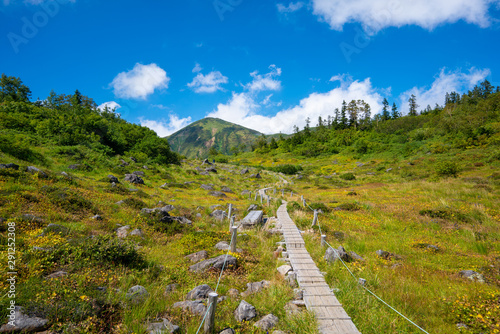 火打山への登山道の途中にある木道の風景