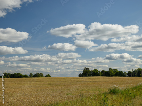 beautiful summer landscape with meadow and lots of clouds
