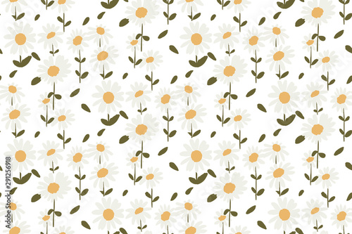 seamless pattern white daisies on white background