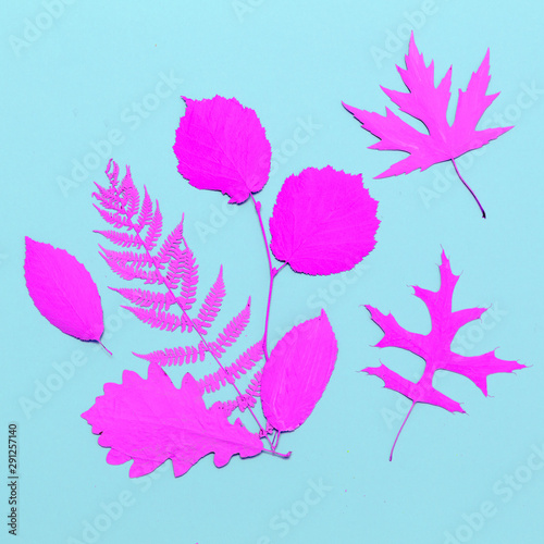 Autumn composition of painted leaves. Minimal flat lay art