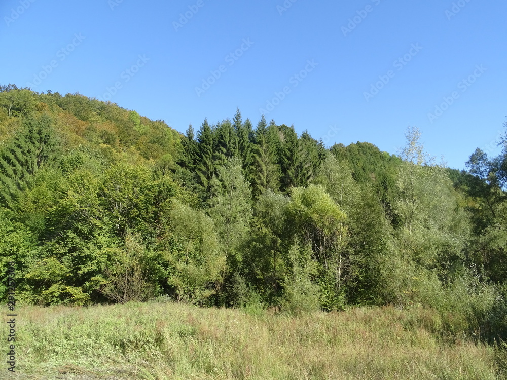 landscape with trees and blue sky landscape with trees and blue sky