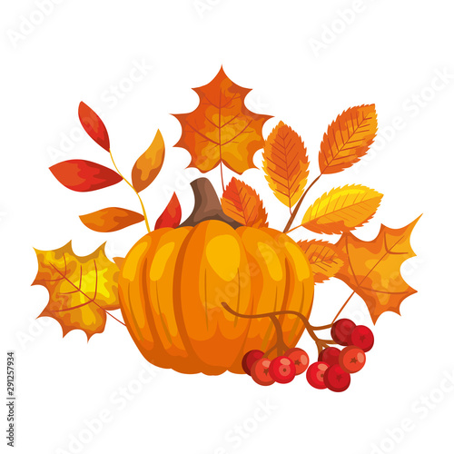pumpkin with autumn leafs isolated icon