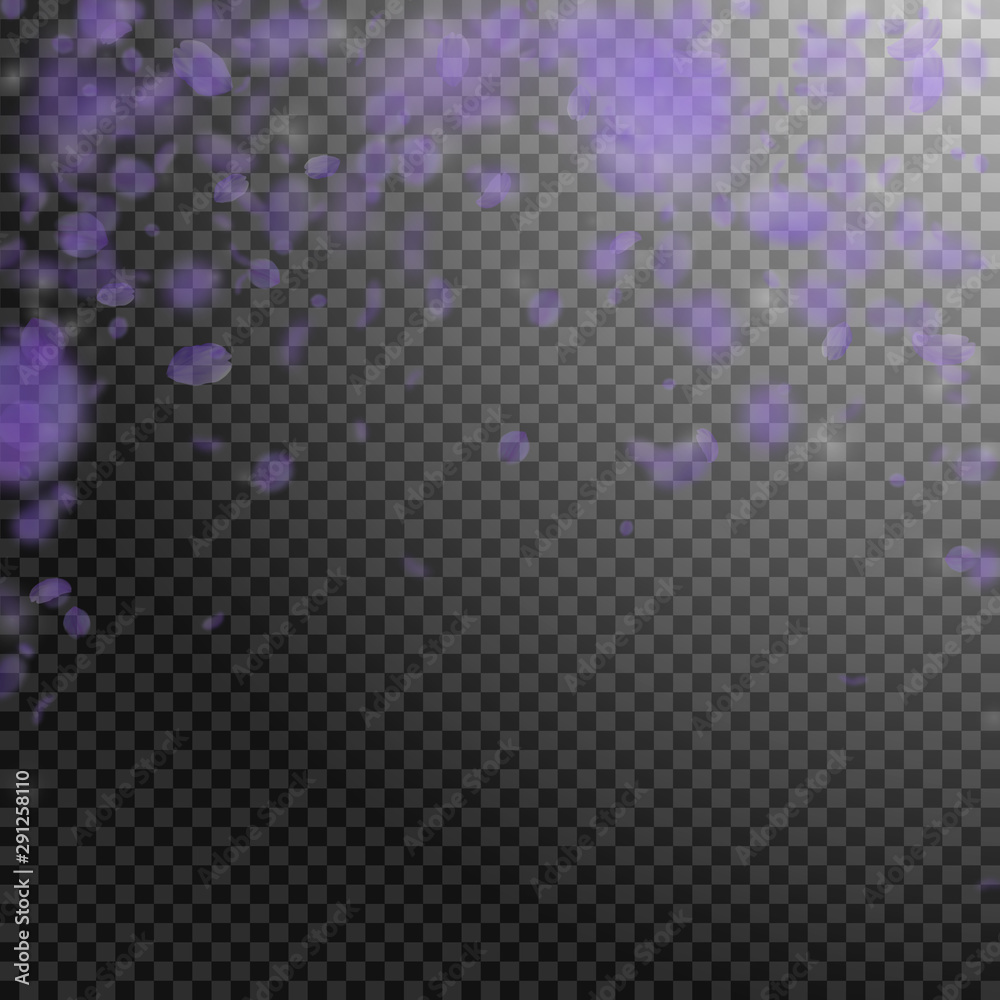 Violet flower petals falling down. Comely romantic Violet flower petals falling down. Comely romantic